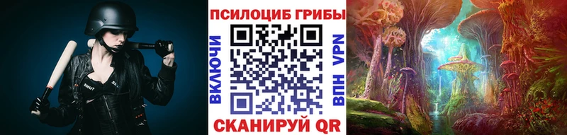 KRAKEN как зайти  Малая Вишера  Галлюциногенные грибы мухоморы 